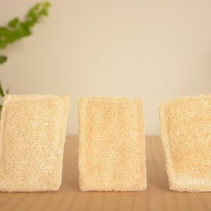 Pack de 3 estropajos ecológicos vegetales