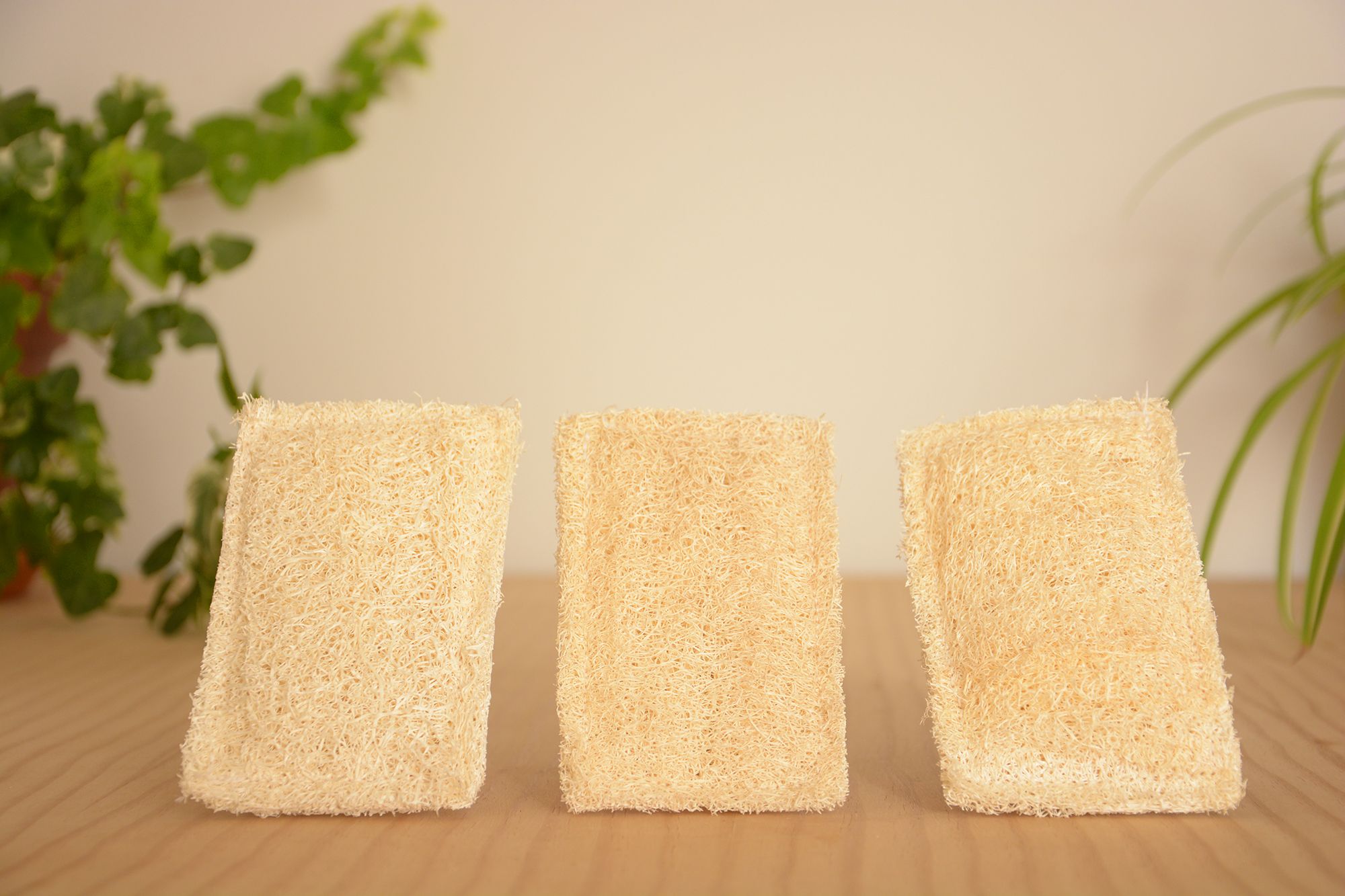 Pack de 3 estropajos ecológicos vegetales